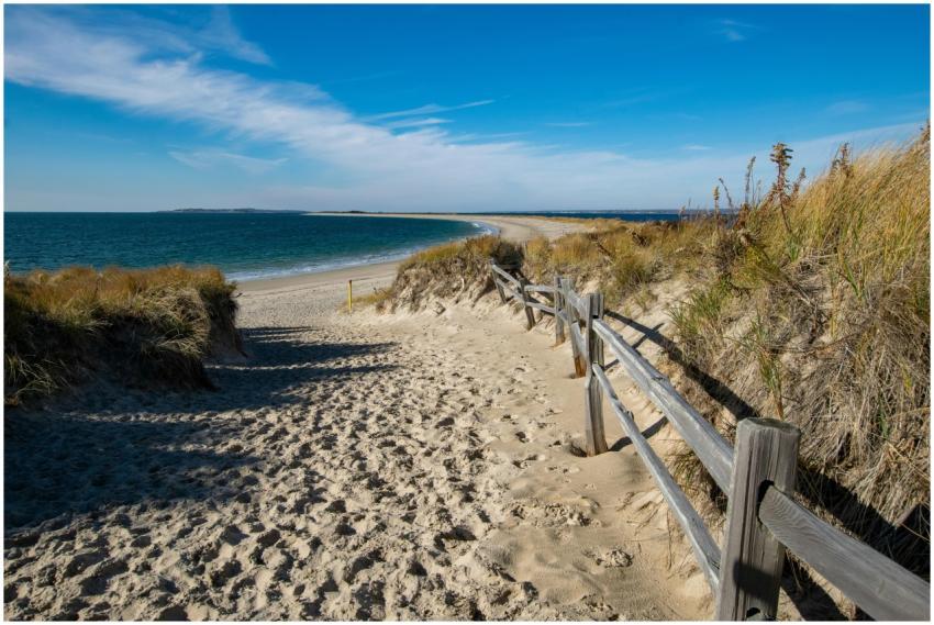 Discover a serene sandy path leading to the ocean