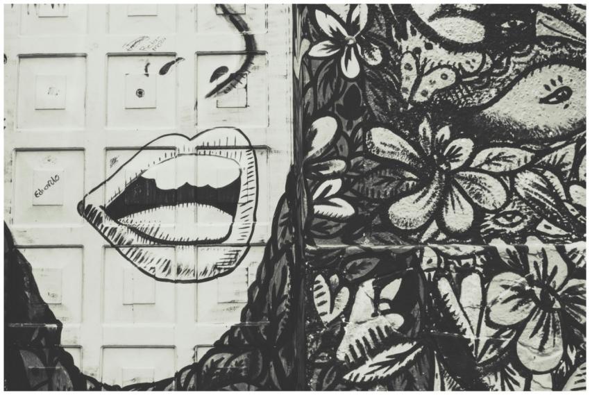 Black and white street art featuring a face and fl