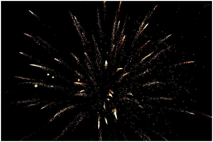 A stunning display of colorful fireworks illuminat