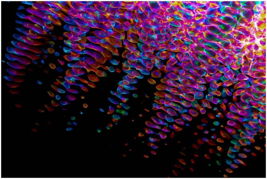 A visually stunning digital abstract art piece fea