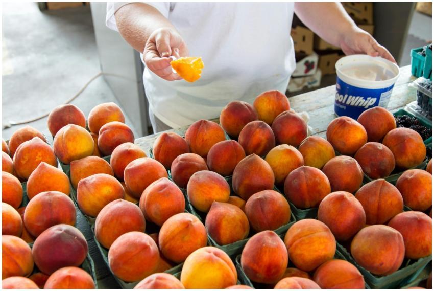 Fresh peaches on display at an NC farmers market w