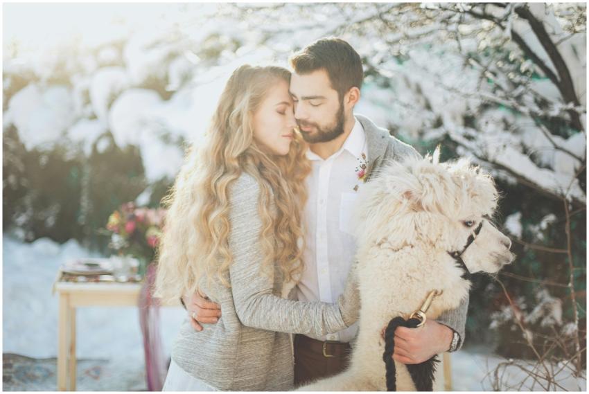 A couple embraces with a llama in a snowy, romanti