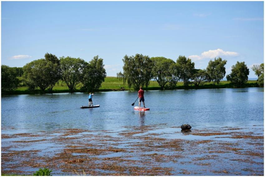 Free stock photo of canoe, cloud, kayak