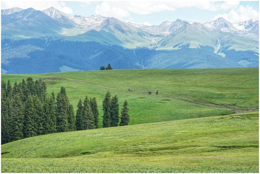 A stunning view of green fields and mountains with