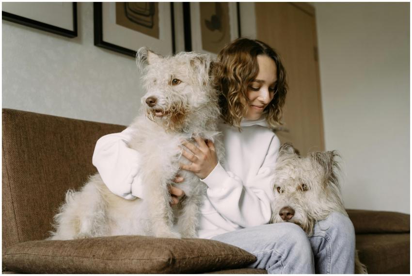 A woman sitting indoors, lovingly petting two fluf