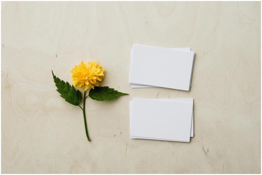 Flat lay of blank business cards next to a yellow