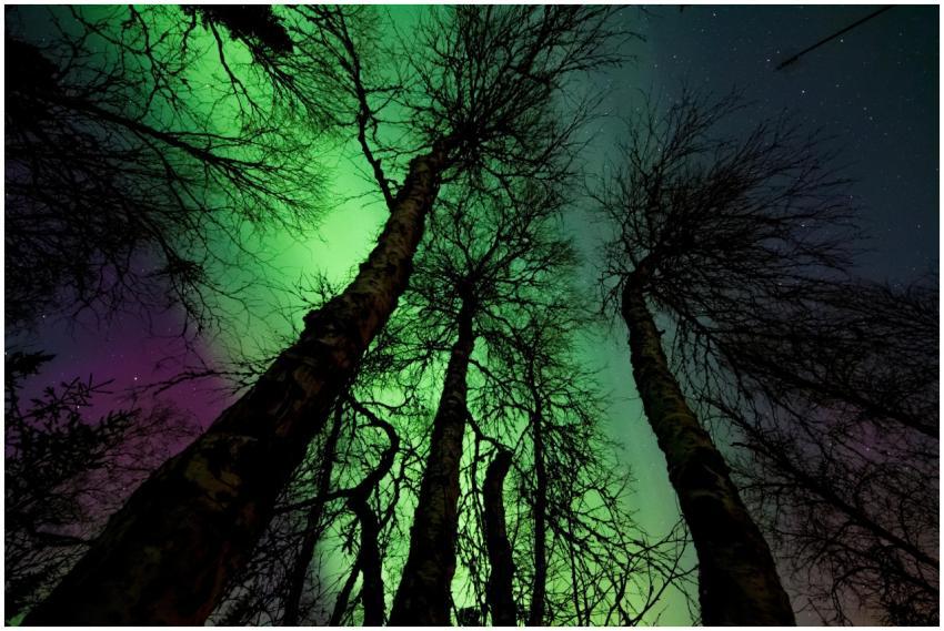 Capture of the vibrant aurora borealis with silhou