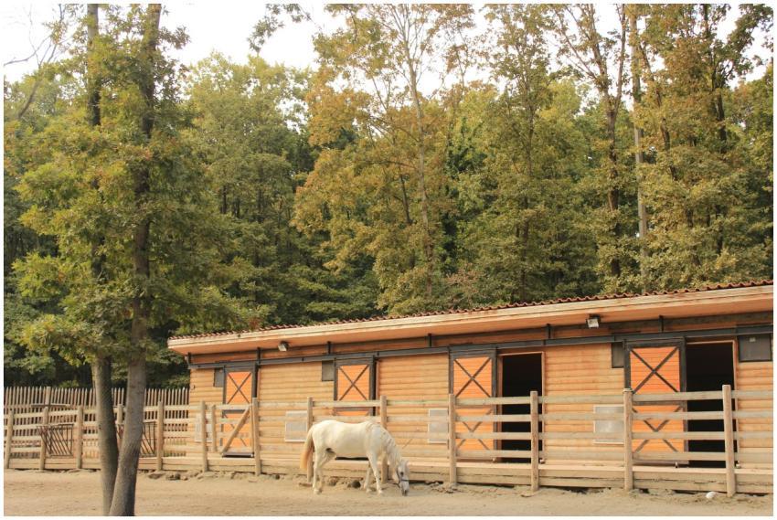 A serene farm setting featuring a wooden stable an