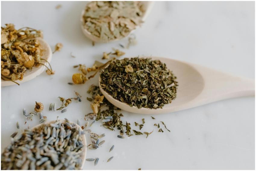A collection of dried herbs on wooden spoons for n