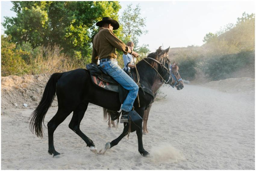 Two cowboys riding horses on a dusty trail with tr