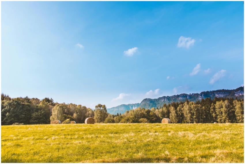 Scenic rural landscape with hay bales, forest, and