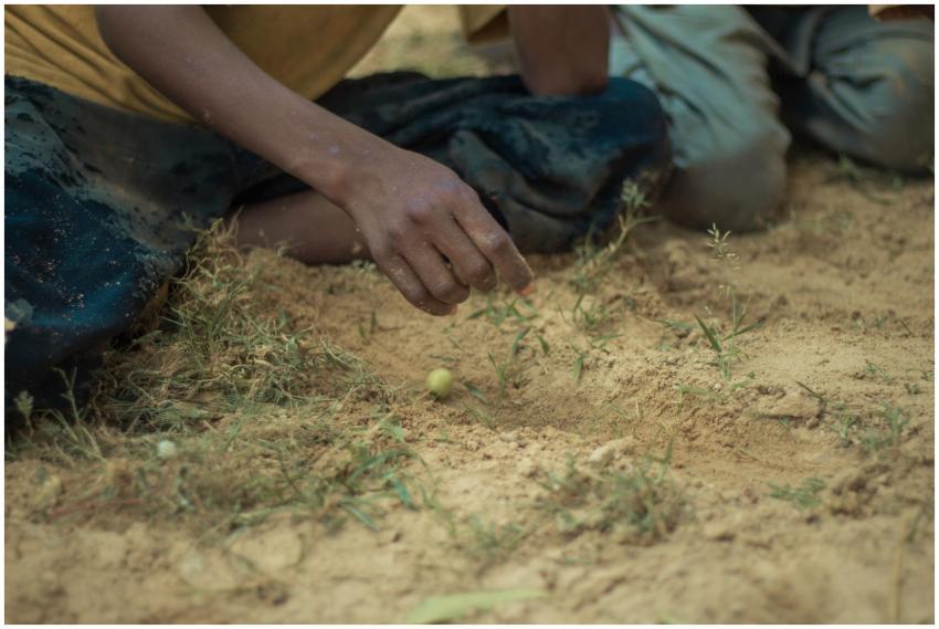 Child Examining Small Plant