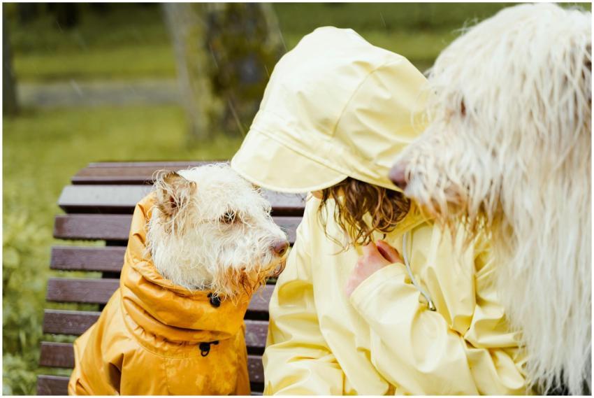 A woman with two dogs in raincoats sitting on a be