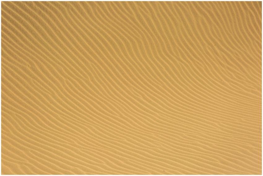 A minimalistic view of wind-sculpted sand dunes cr