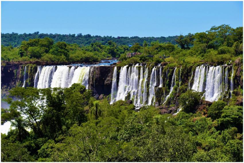Lush greenery and cascading waters of Iguazu Falls