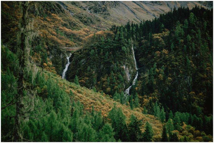 Beautiful autumn landscape featuring forested moun