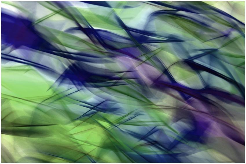Vibrant abstract artwork showcasing motion blur in