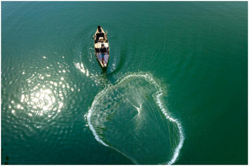 Aerial shot of a fisherman casting a net from a bo