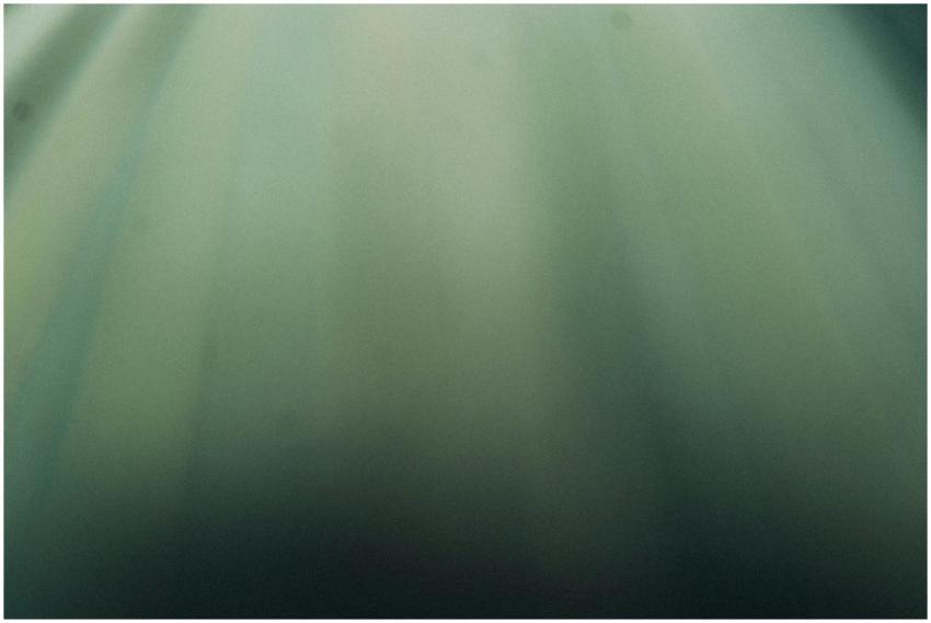 A subtle abstract background with soft green gradi