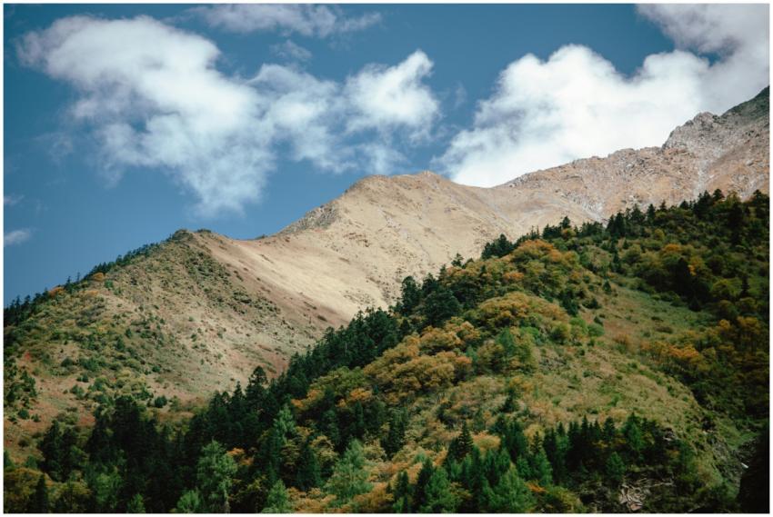Scenic view of a lush green forested mountain unde
