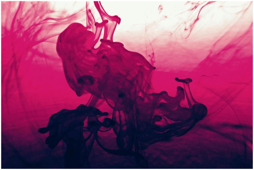 Vibrant abstract artwork featuring swirling pink a