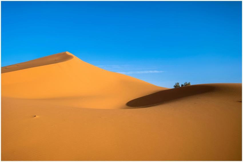 Stunning golden sand dunes with clear blue sky at