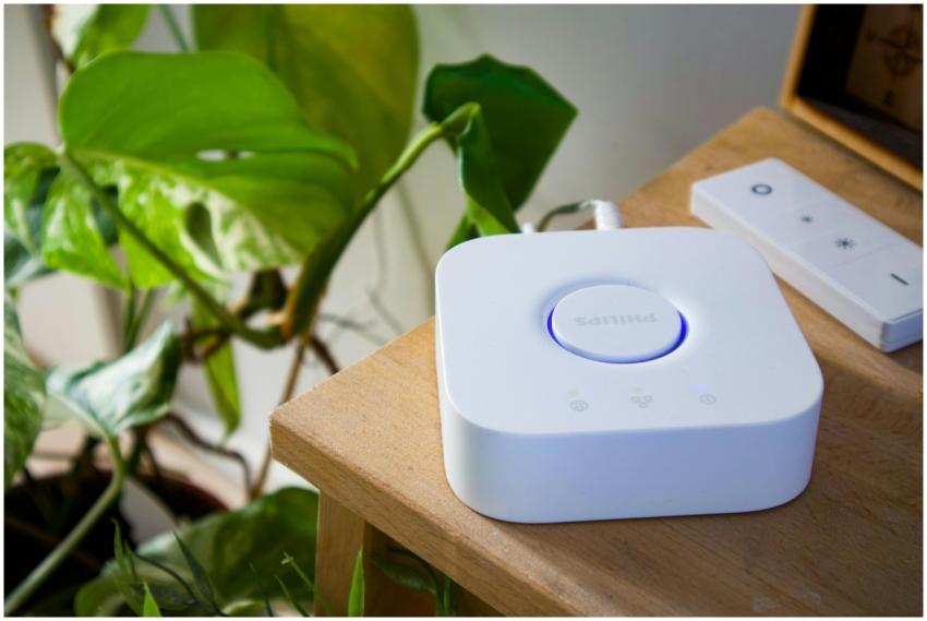 Philips smart hub beside a leafy plant in a stylis