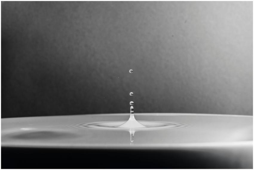 A high-definition macro shot capturing a water dro