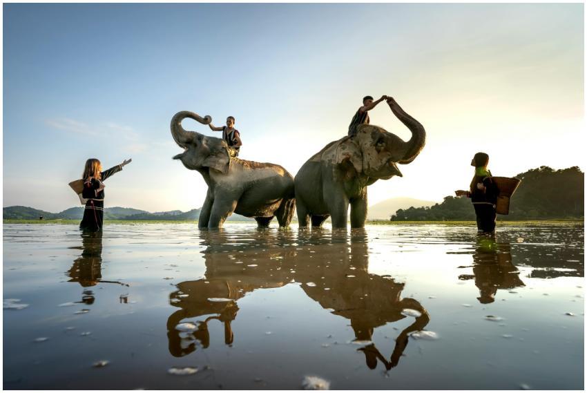 Two elephants with mahouts enjoying a bath at suns