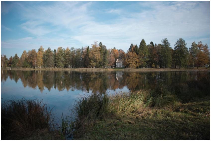 Calm lake surrounded by autumn trees reflecting a