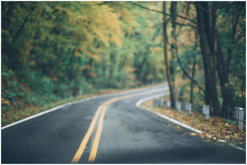 A scenic winding road through a vibrant autumn for