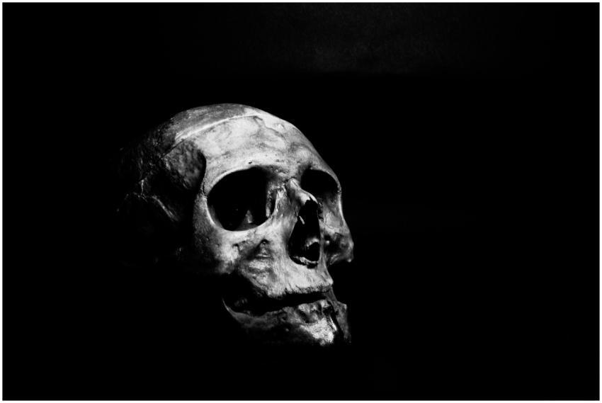 Moody black and white photo of a skull on a dark b