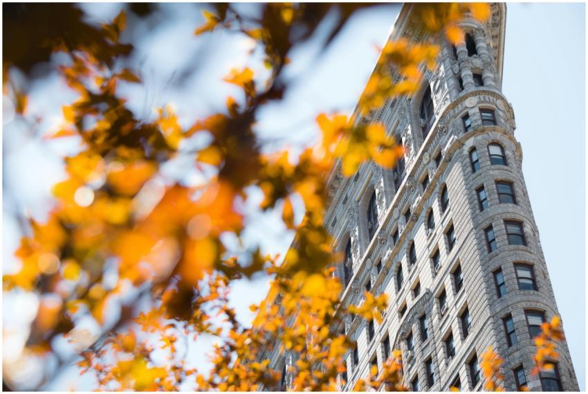Iconic Flatiron Building in New York City framed b