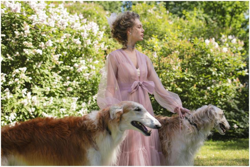 A woman elegantly poses with two Borzoi dogs in a