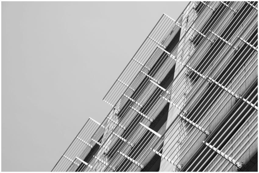 Monochrome image showcasing the geometric facade o