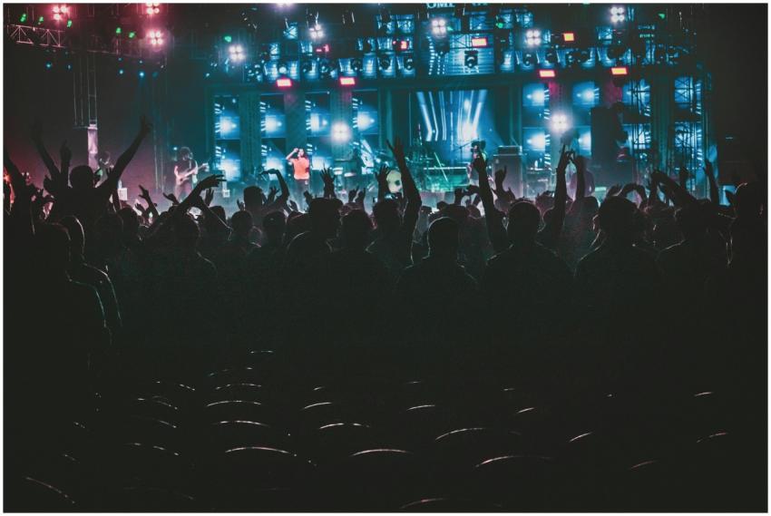 Energetic crowd enjoying a live music concert with