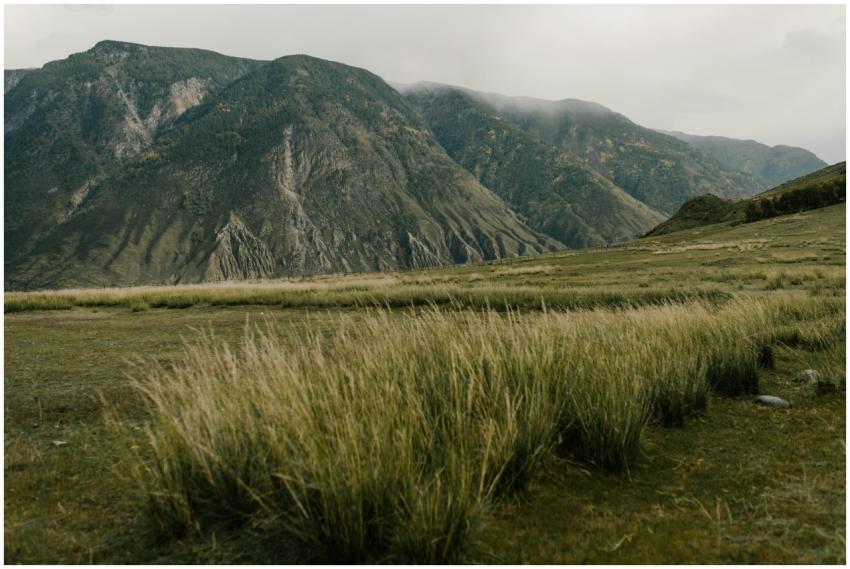 A tranquil mountain view with expansive grassy fie
