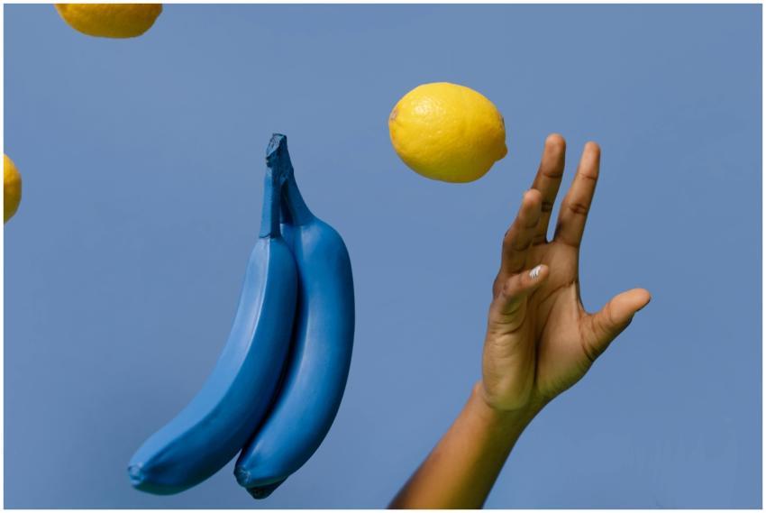 A creative shot featuring a hand interacting with