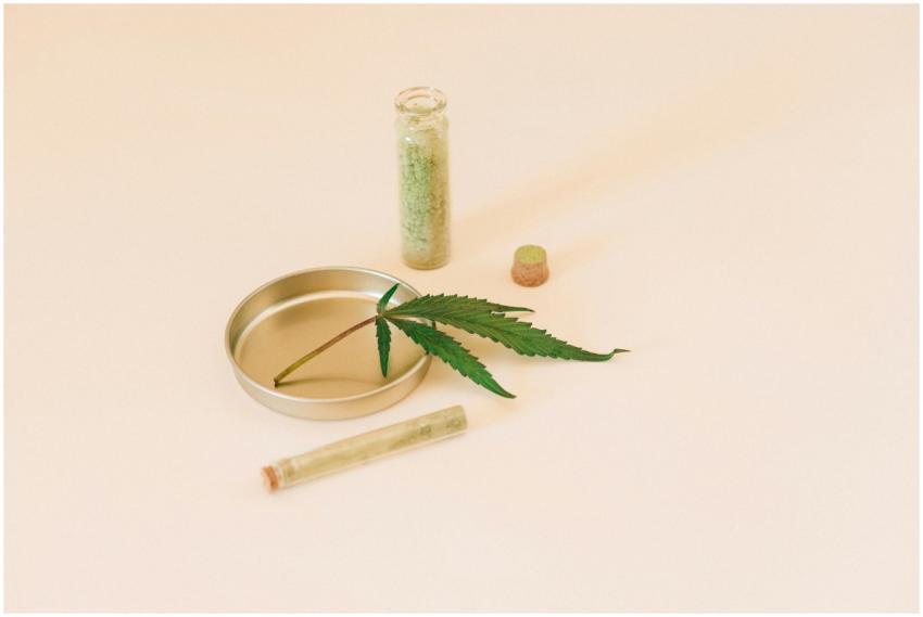 A cannabis leaf with herbal extracts in a glass vi
