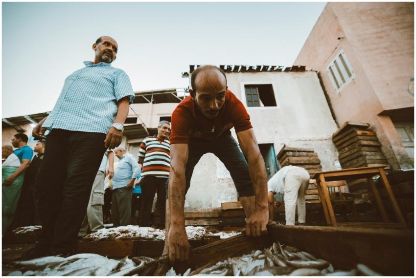 Vibrant Fish Market Ras