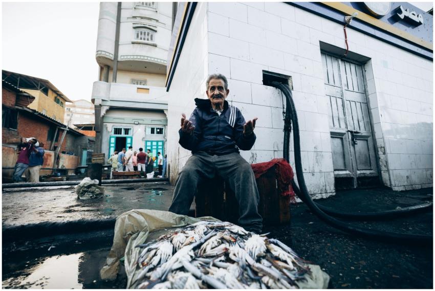 Free stock photo of award, background, beauty