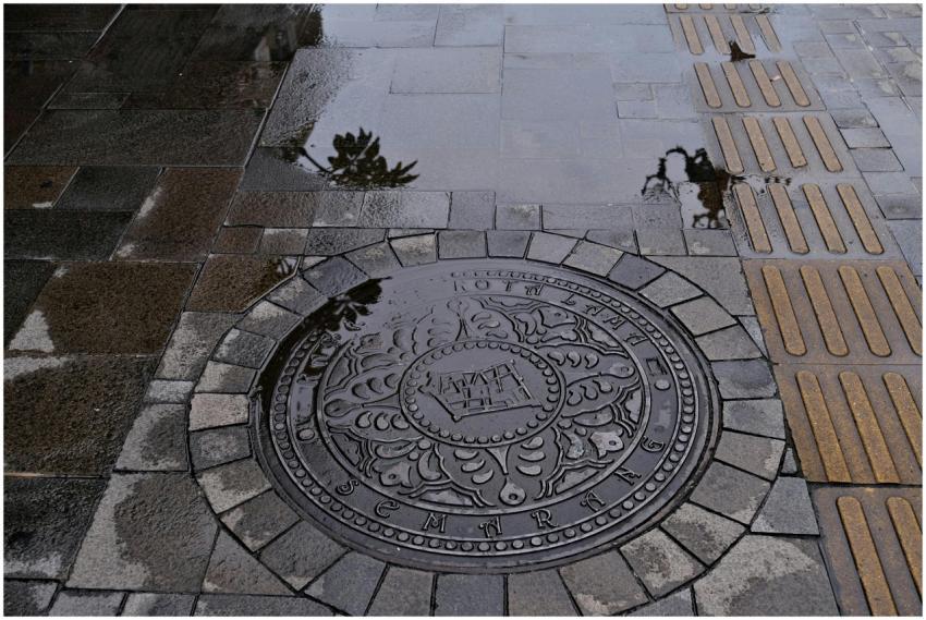 Semarang Manhole Cover Wet