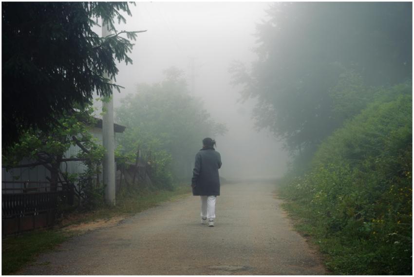 A person walks alone on a foggy, tree-lined road.