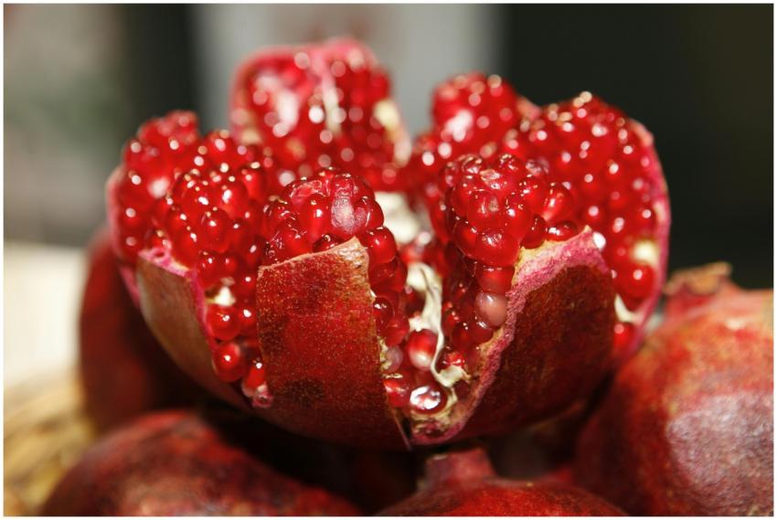 Detailed macro shot of a fresh, vibrant pomegranat