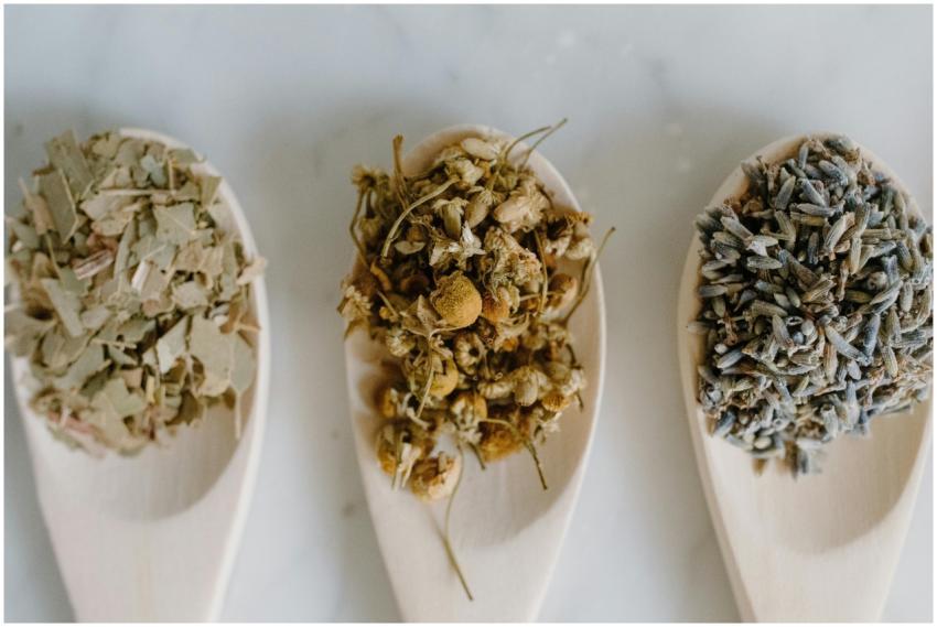 Flat lay of dried herbal remedies in wooden spoons