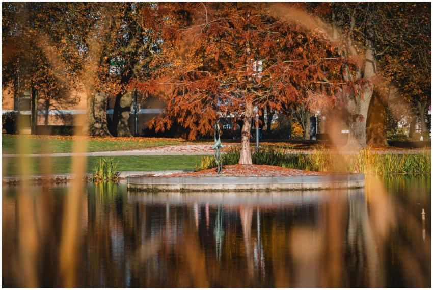 Beautiful autumn scene with trees by a pond in Bie