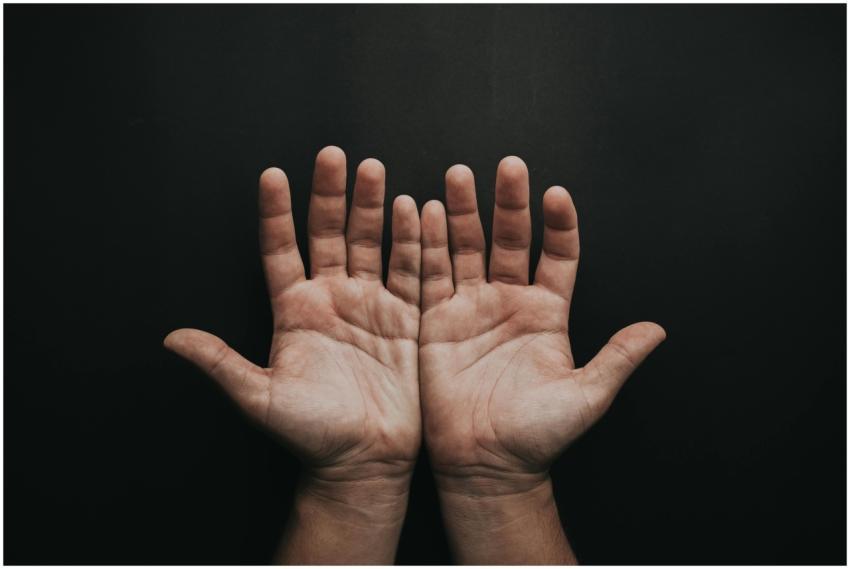 A pair of upturned hands displayed against a dark