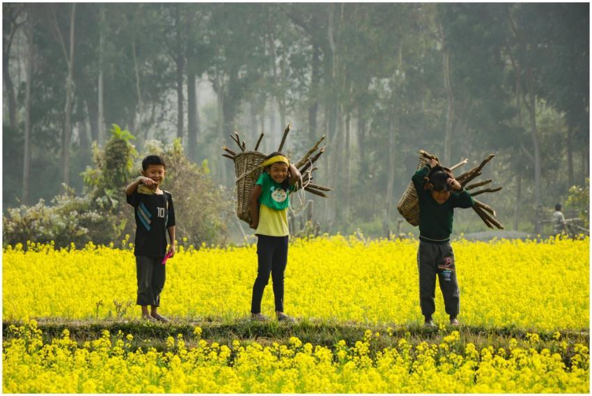 Three children carrying firewood in a vibrant yell