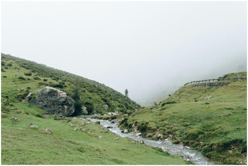 Serene landscape with mist, flowing stream, and lu