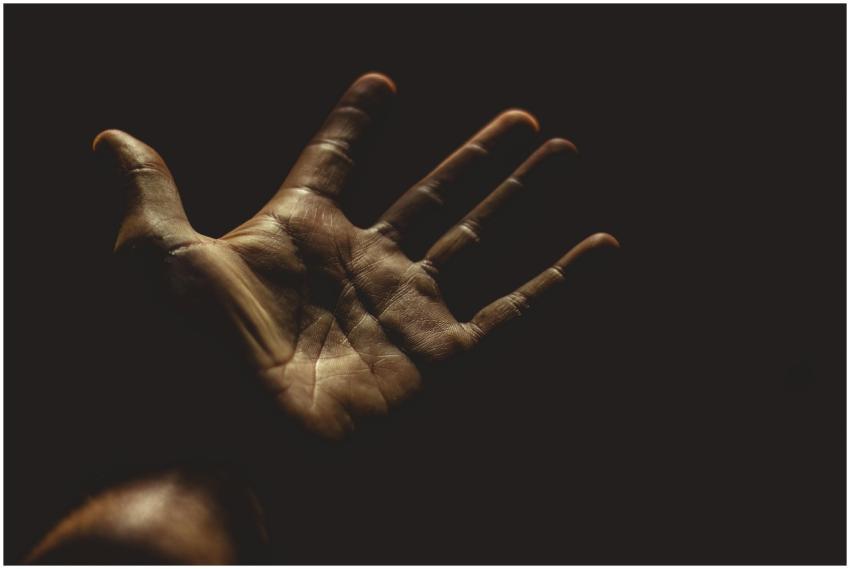 A powerful silhouette of an outstretched palm agai